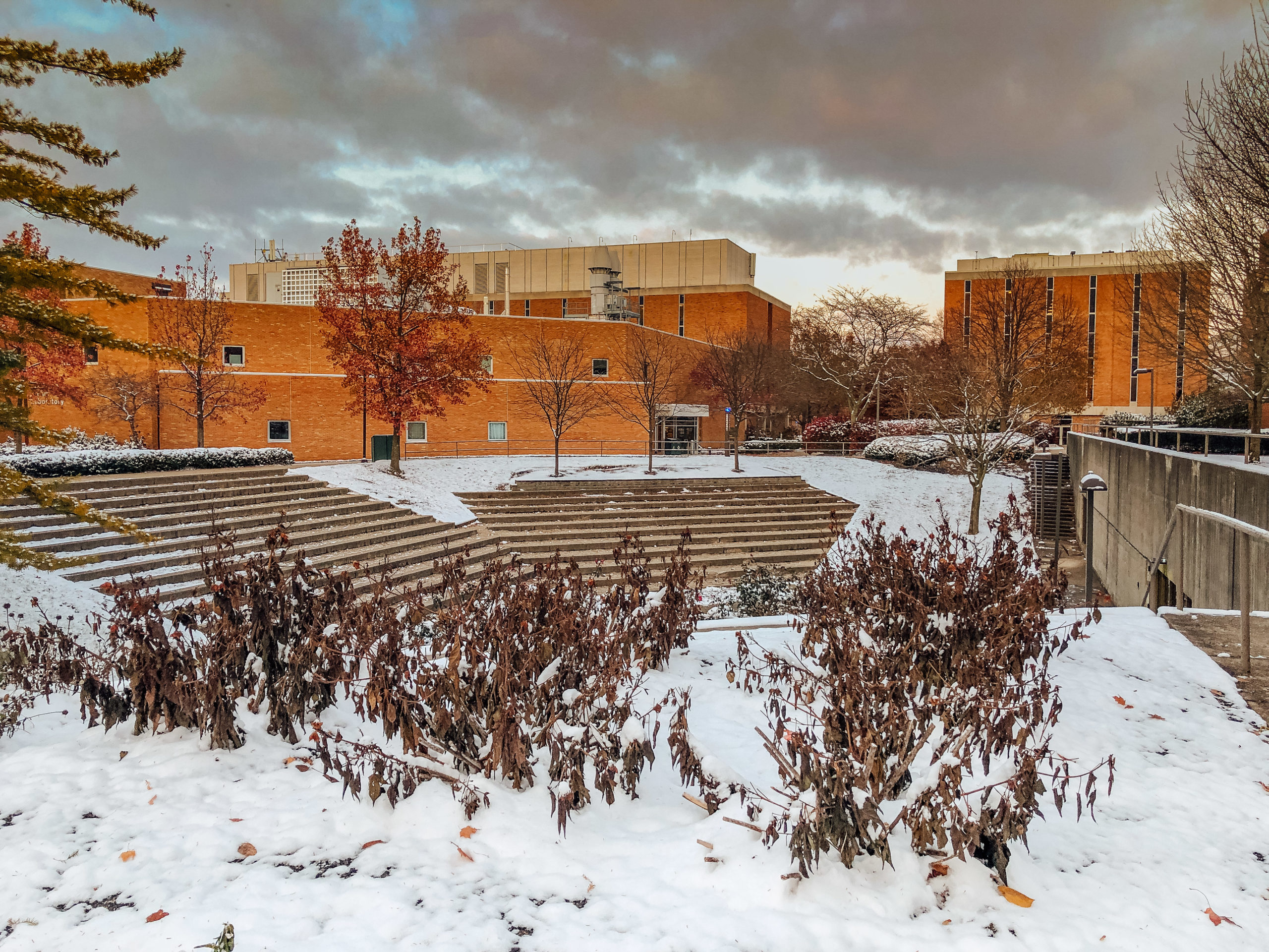 Wright State campus after first snowfall of the season | Photograph by Soham Parikh | The Wright State Guardian
