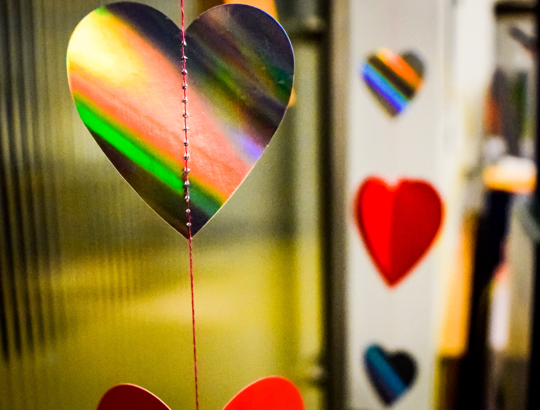 Valentine's Day | Photo by Jessica Fugett | The Wright State Guardian